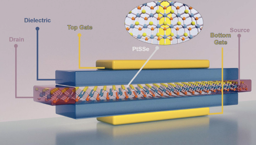 Janus 2D material structure